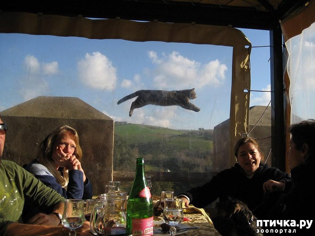 ���� 13: 20 ������ ���������� ����� ���� ������ � ������� 3