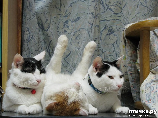 ���� 14: 20 ������ ���������� ����� ���� ������ � ������� 3