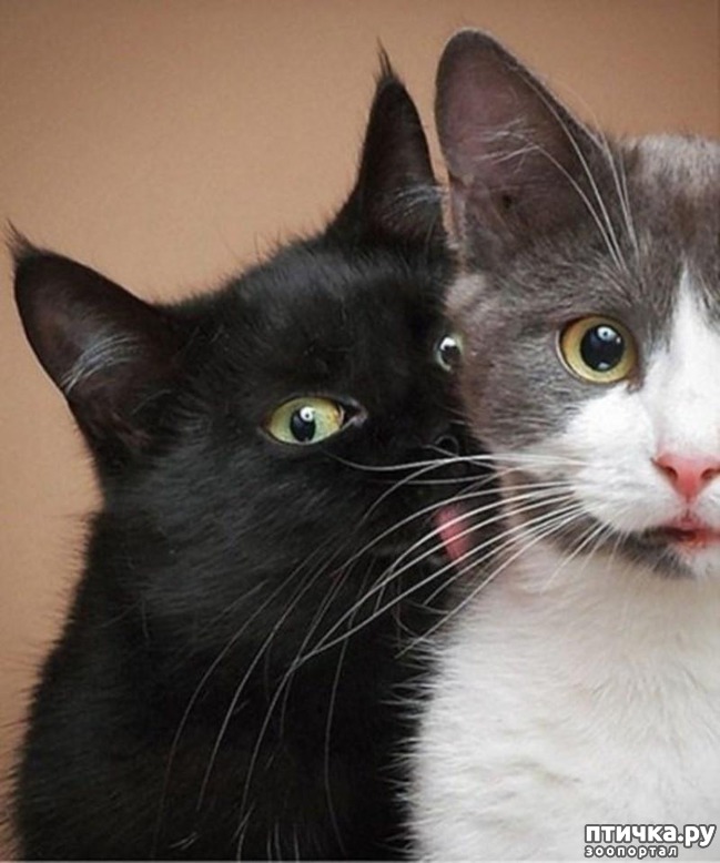 ���� 16: 20 ������ ���������� ����� ���� ������ � ������� 3