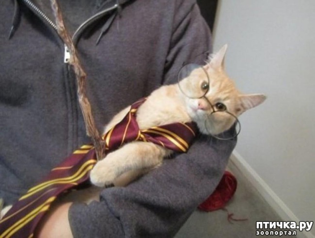 ���� 17: 20 ������ ���������� ����� ���� ������ � ������� 3