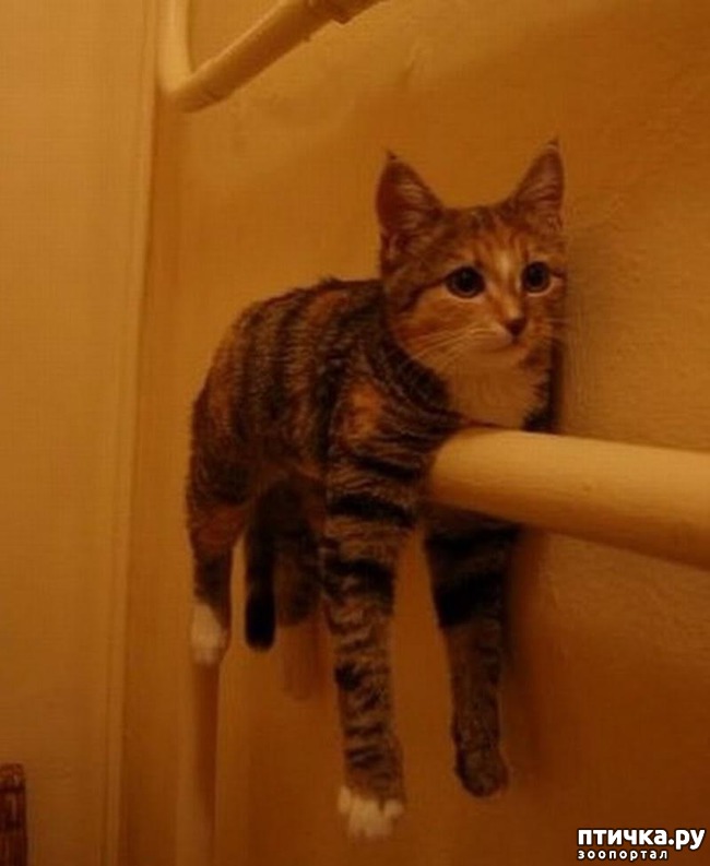 ���� 18: 20 ������ ���������� ����� ���� ������ � ������� 3