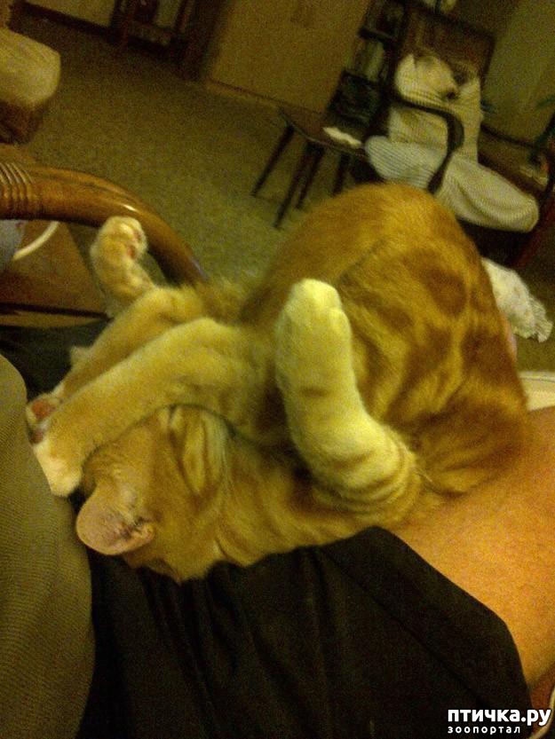 ���� 20: 20 ������ ���������� ����� ���� ������ � ������� 3