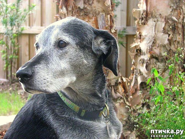 ���� 1: ������� ����� �� �������������. �. �������� (���������)