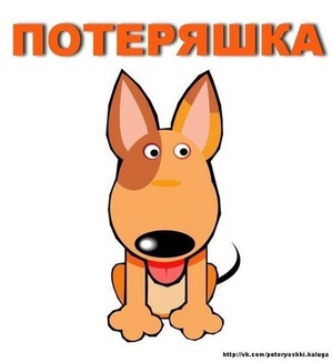 ����: ����� ������? ��� ������?