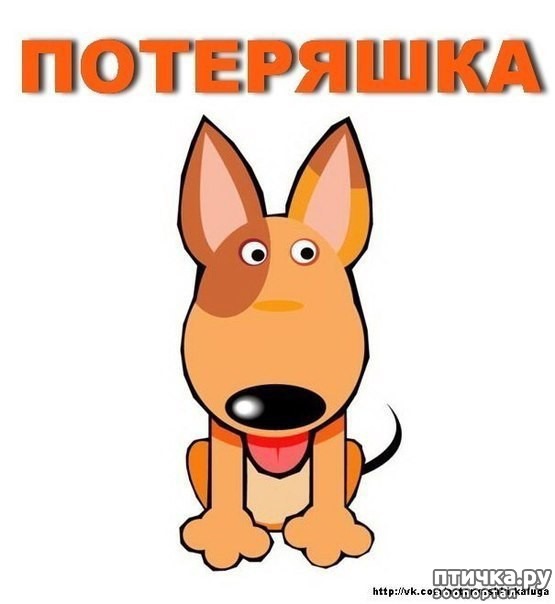 ���� 1: ����� ������? ��� ������?