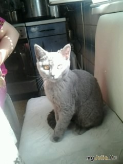 ����: ����� ���� �����.