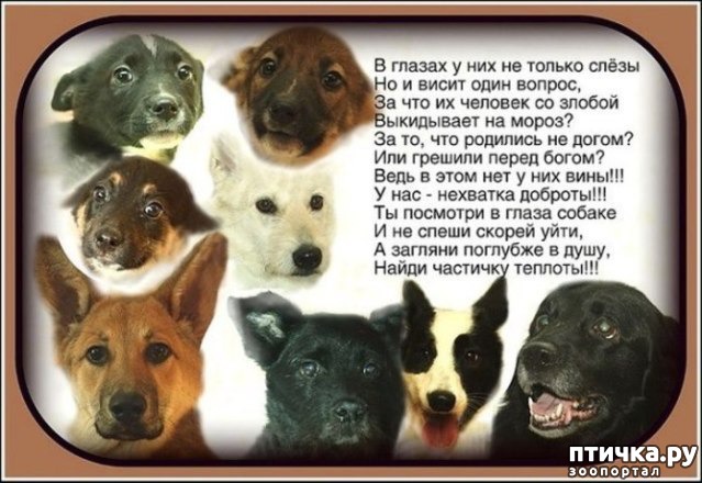 ���� 2: ����� ������? ��� ������?