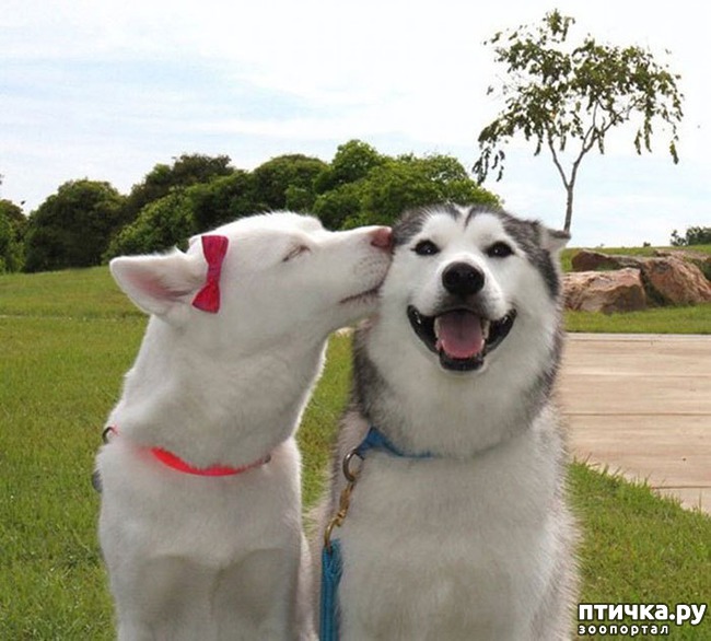 ���� 3: ������ - �������.