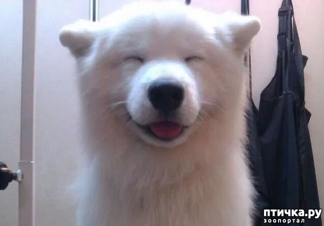 ���� 4: ������ - �������.