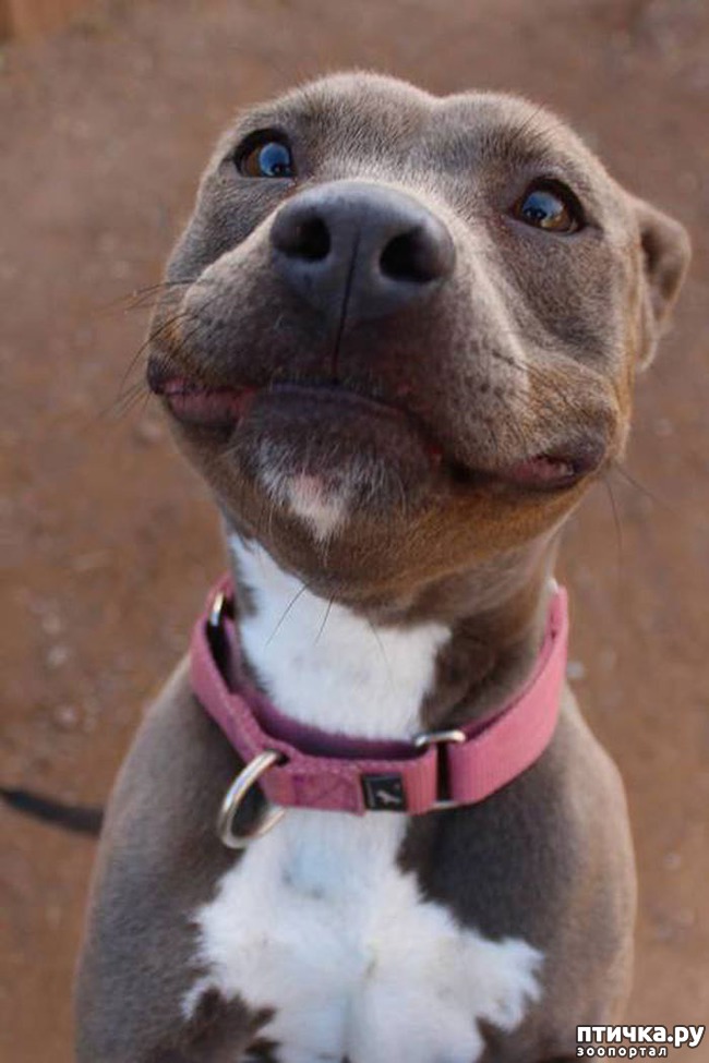 ���� 5: ������ - �������.