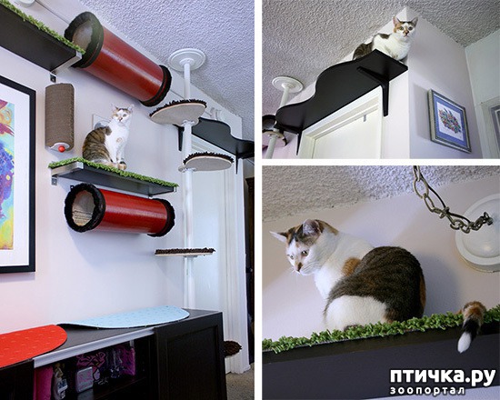 ���� 2: 5 ������� �������� ������� ���� ����������