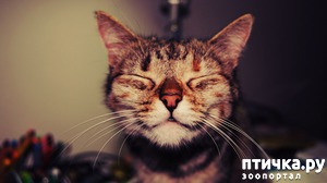 ����: 5 ������� �������� ������� ���� ����������