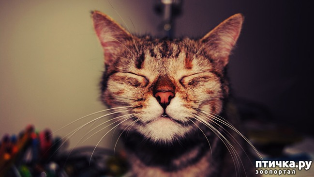 ���� 1: 5 ������� �������� ������� ���� ����������