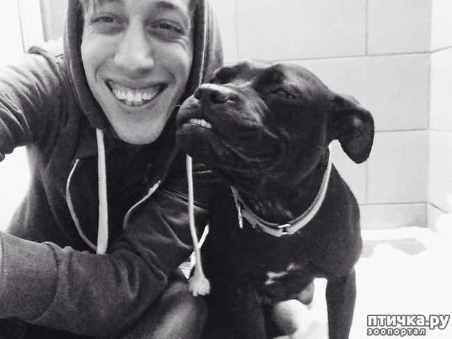 ���� 7: ������ - �������.