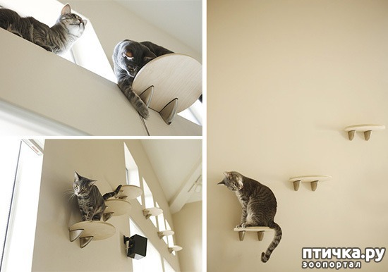 ���� 3: 5 ������� �������� ������� ���� ����������