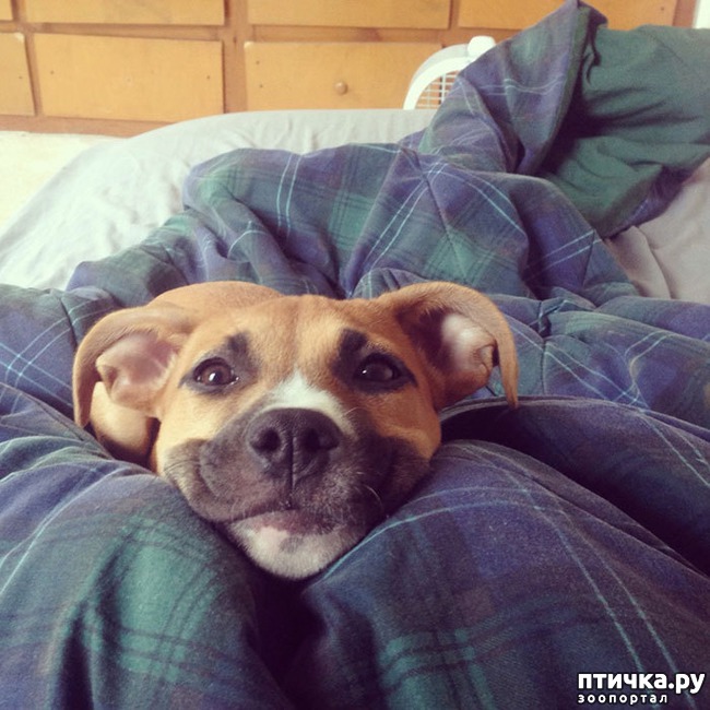 ���� 8: ������ - �������.