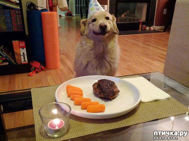 ���� 9: ������ - �������.