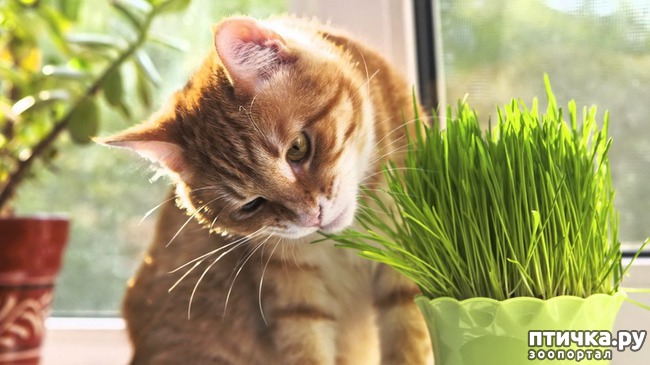 ���� 5: 5 ������� �������� ������� ���� ����������