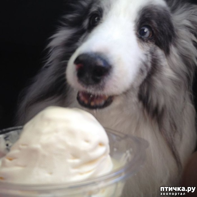 ���� 14: ������ - �������.