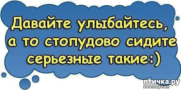 ���� 1: ������ - �������.