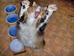 ���� 7: 5 ������� �������� ������� ���� ����������