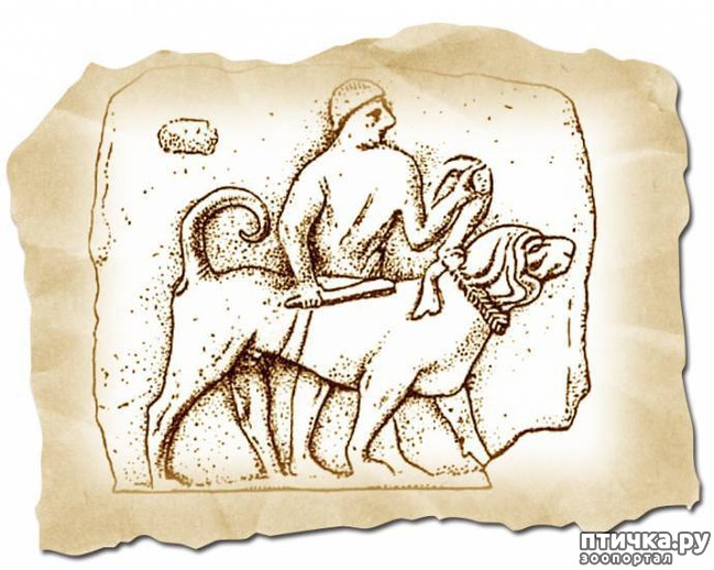 ���� 1: ���� ������� ����������