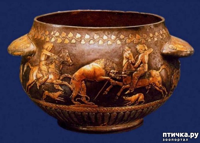 ���� 2: ���� ������� ����������