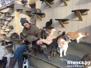 ����: 58-������ ������� ����� � ��������� 300 �����