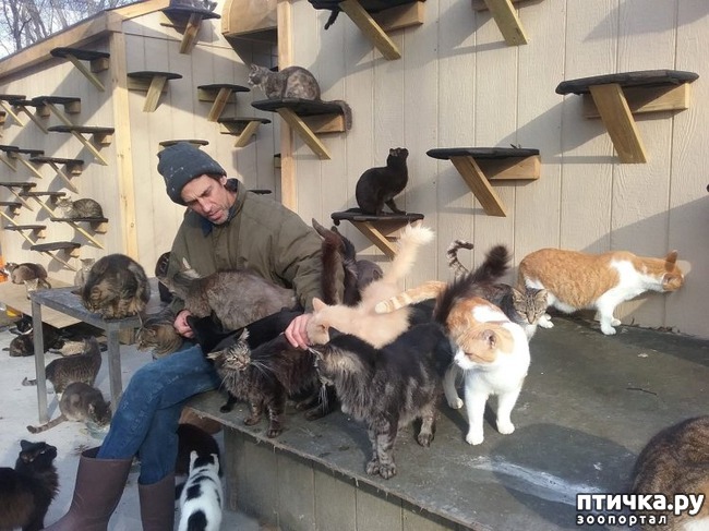 ���� 1: 58-������ ������� ����� � ��������� 300 �����