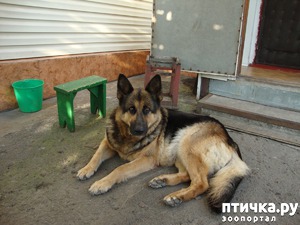 ����: ����� ������ �� ������ ����...