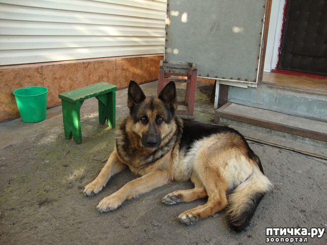 ���� 1: ����� ������ �� ������ ����...