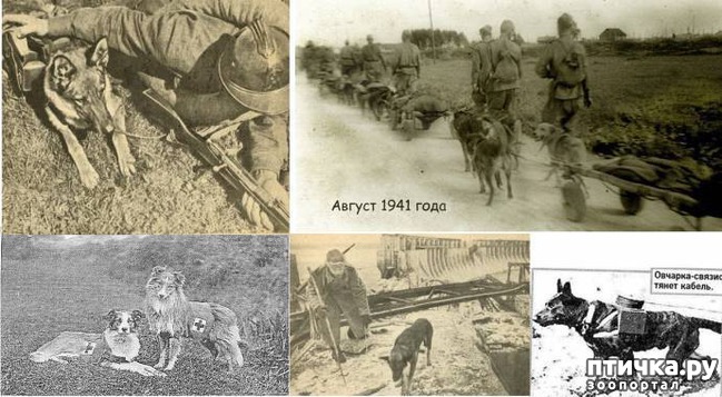 ���� 4: ���� ������� ����������