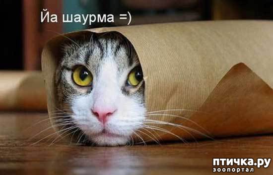 ���� 11: ��� �������� �������.