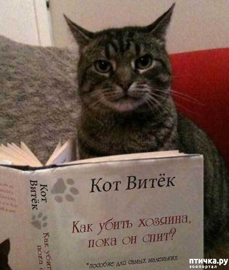 ���� 12: ��� �������� �������.