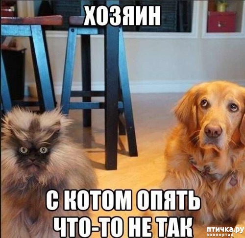 ���� 14: ��� �������� �������.