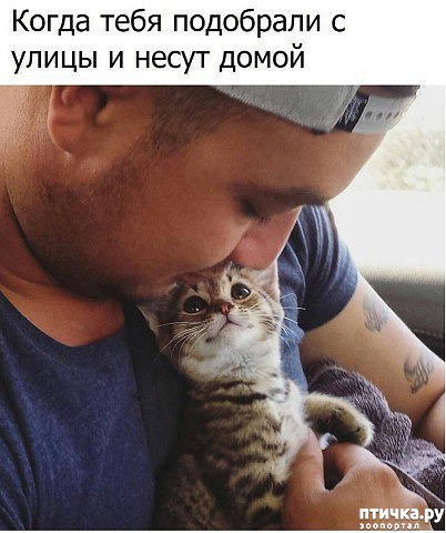 ���� 15: ��� �������� �������.