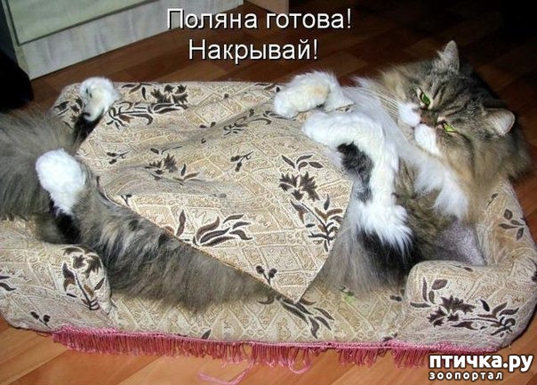 ���� 17: ��� �������� �������.