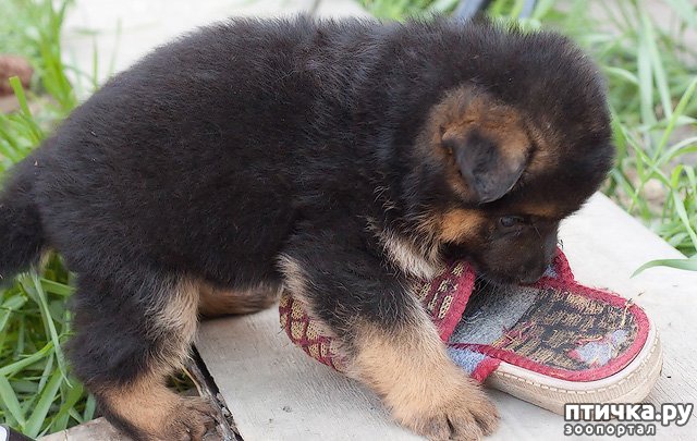 ���� 1: ������ �����.