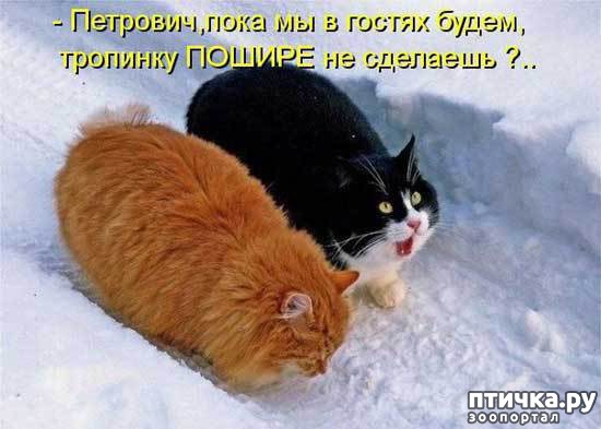 ���� 18: ��� �������� �������.