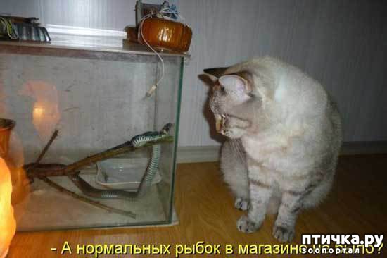 ���� 19: ��� �������� �������.