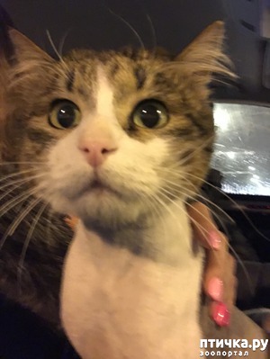 ����: ��� ����� ���� ���