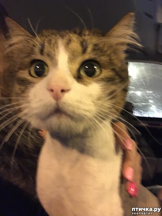 ���� 1: ��� ����� ���� ���