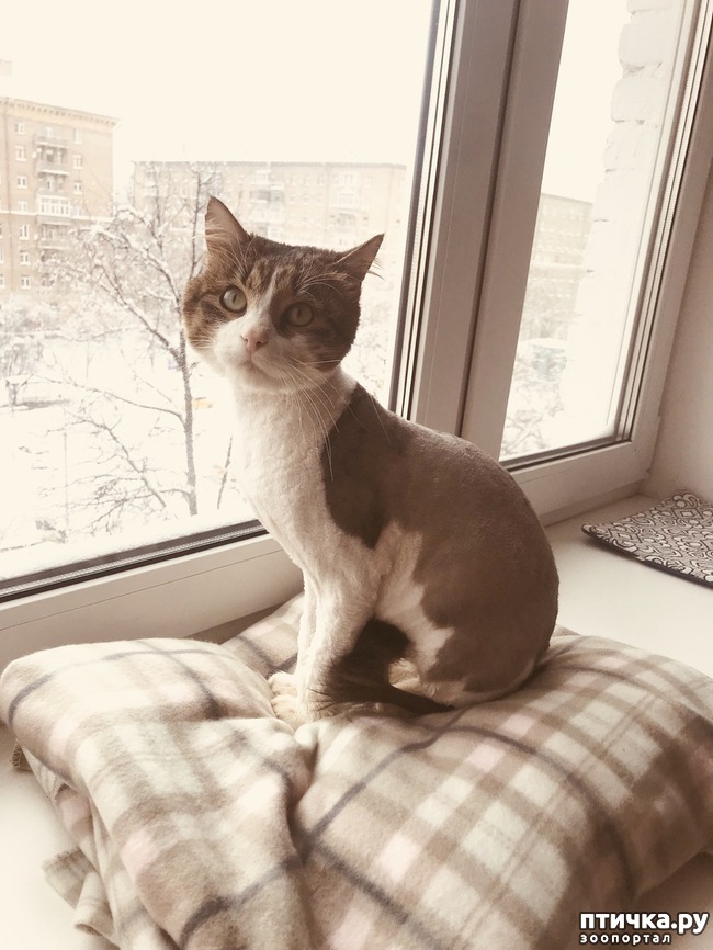 ���� 2: ��� ����� ���� ���