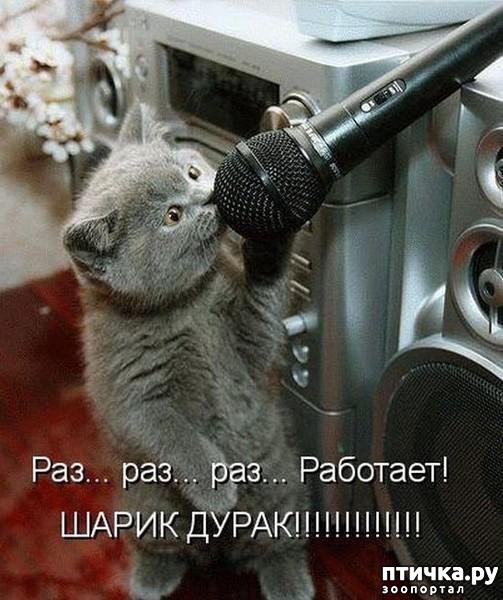 ���� 24: ��� �������� �������.