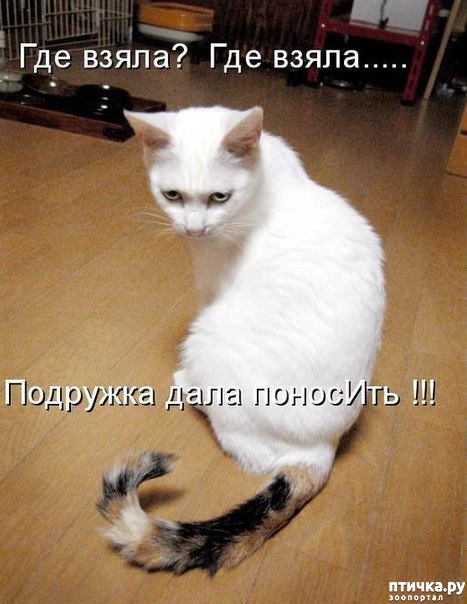 ���� 26: ��� �������� �������.