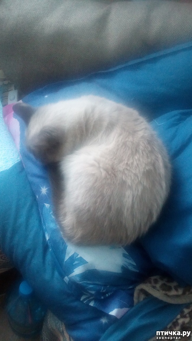 ���� 1: ����� ����� � ��� ���������...