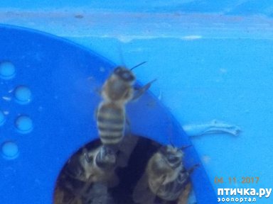 ���� 3: ���������� �������