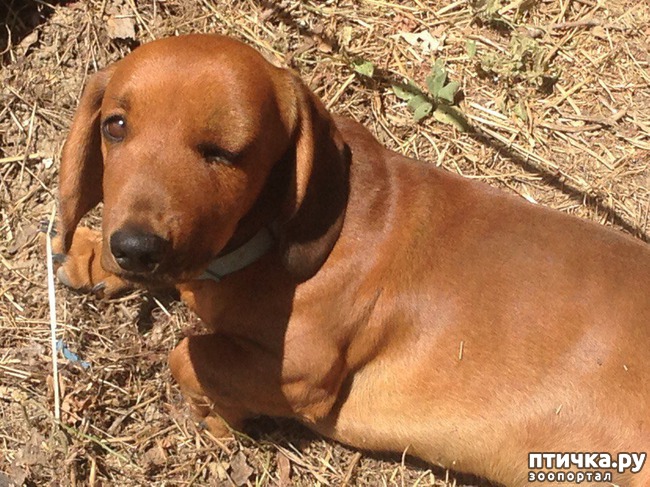 ���� 4: ���������� �������