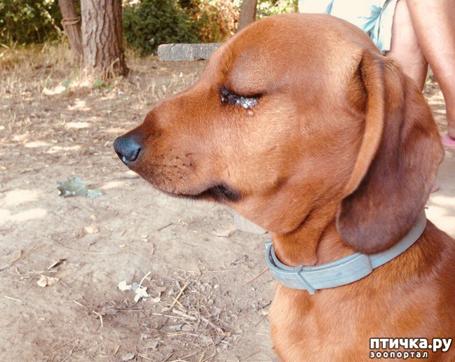 ���� 5: ���������� �������