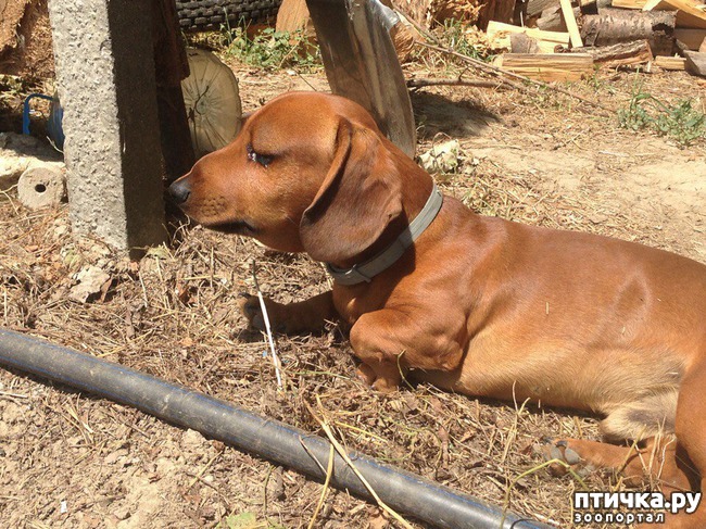 ���� 6: ���������� �������